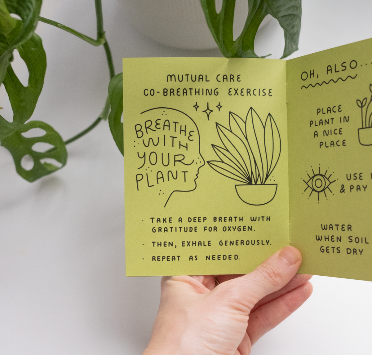 A hand holds an illustrated zine titled "How to Keep A Plant Alive." It guides caring for houseplants with simple drawings of a hand, leaves, and stars. In the background, a leafy plant adds to the cozy scene.