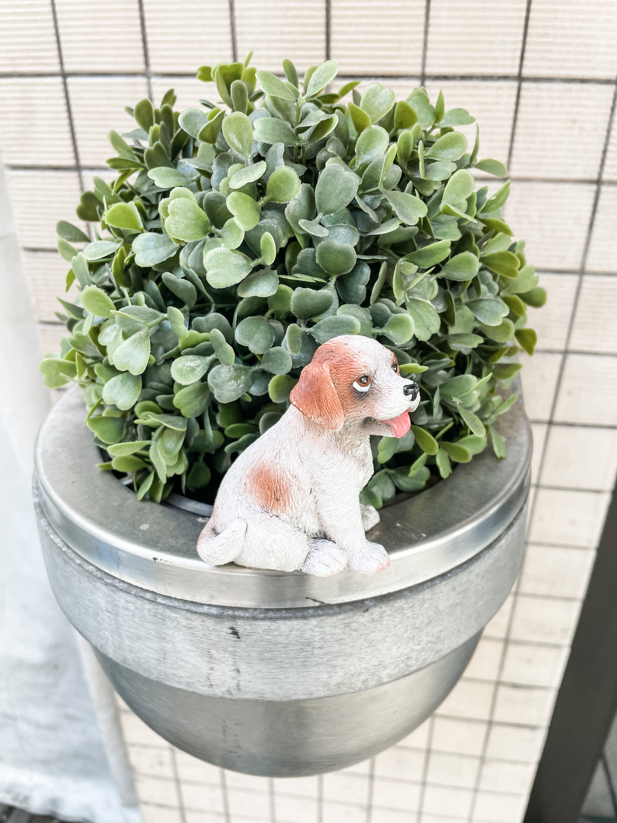 A Japanese Mystery Box sits in front of a lush green potted plant with round leaves in a metallic planter—an eye-catching piece perfect as a travel souvenir or unique gift, set against a tiled wall.