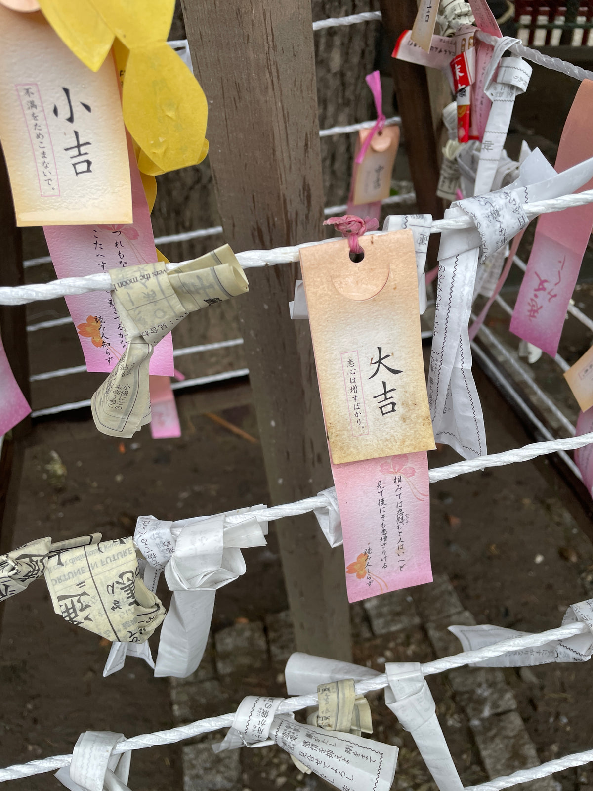 A close-up of omikuji (Japanese fortune papers) tied at a shrine—decorated with kanji and patterns. The Japanese Mystery Box offers such traditional charms, perfect as unique gifts or travel souvenirs.