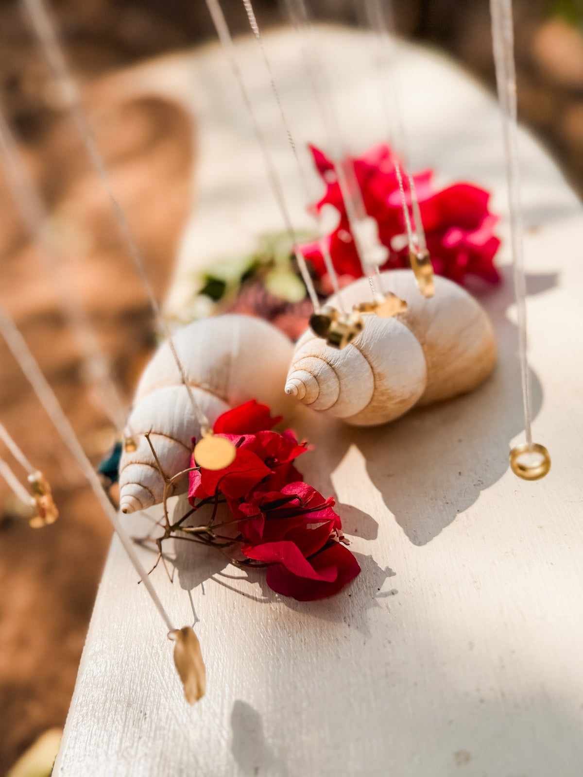 The Seeing Under Water Necklace rests among spiral seashells and red rose petals on a white surface, illuminated by natural sunlight—a tranquil scene that highlights the necklace’s minimal beauty.