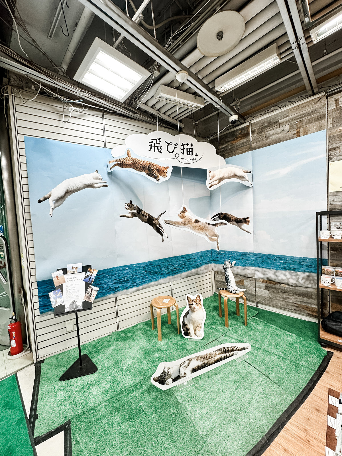 A store display features large cat cutouts and photos leaping across a blue sky, with stools and mats showing cat images. Above, a sign with Japanese text promotes the Japanese Mystery Box—ideal for unique gifts or travel souvenirs.