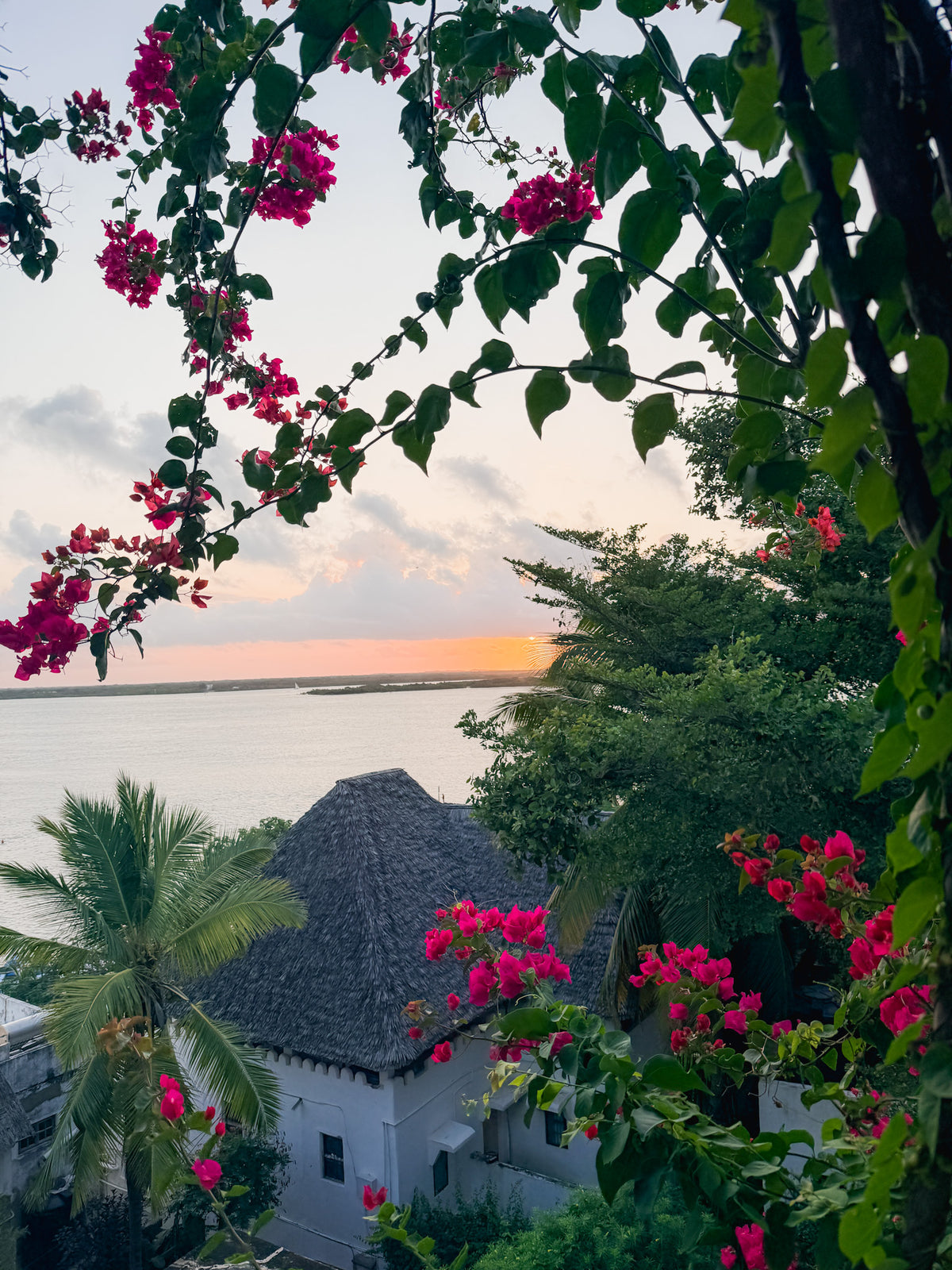 A stunning sunset over water is framed by tropical trees and vibrant pink flowers, with the Artisan Safari’s thatched-roof white building nestled among lush greenery in the foreground.